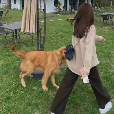 卖火柴女孩的再临